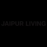 jaipur-living